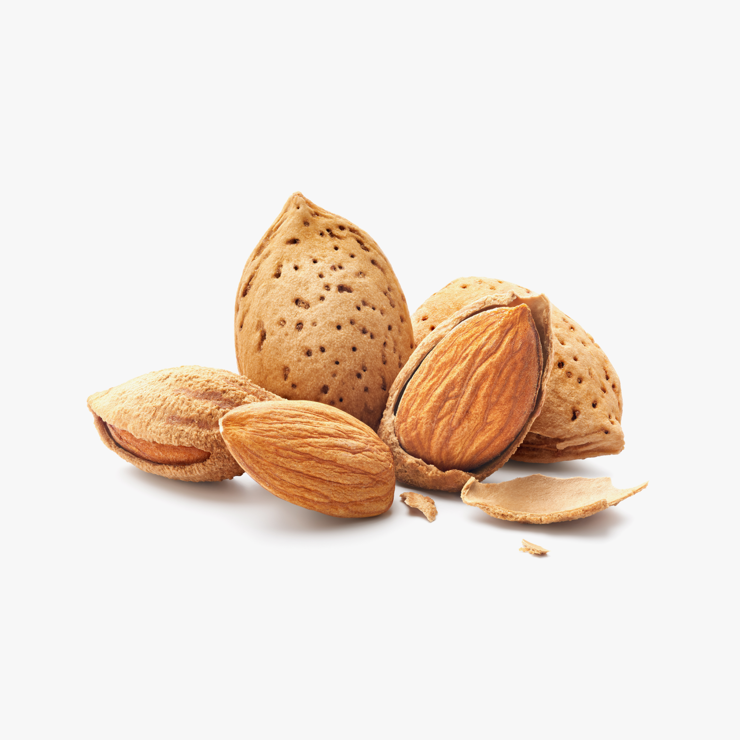 Almond Afghanistan with Shell